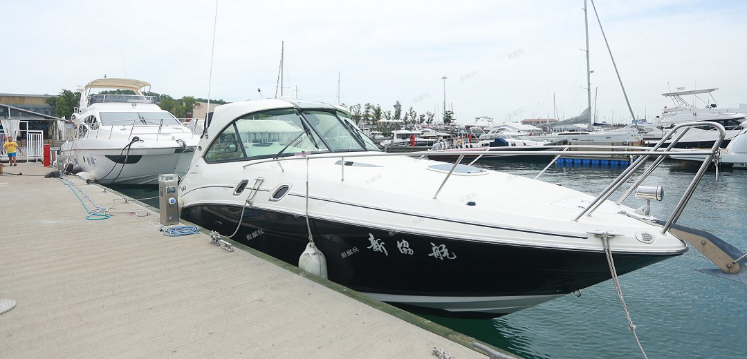 Searay305運動艇 Searay305運動艇